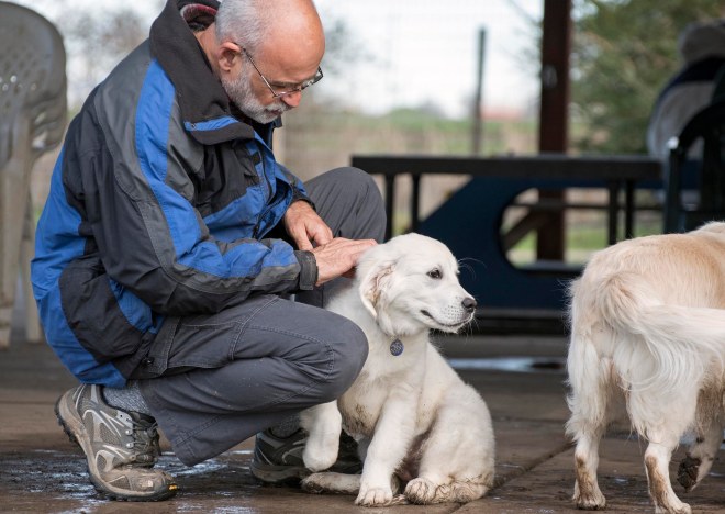 Puppy Class_DSC_4542