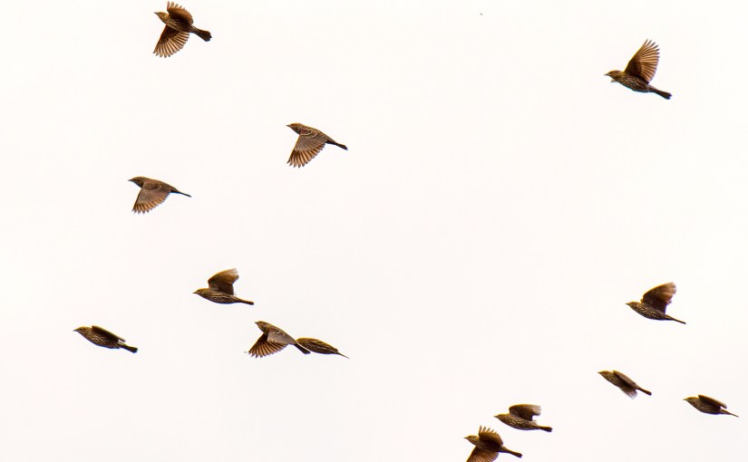 The Drought: A Hopeful&nbsp;Update