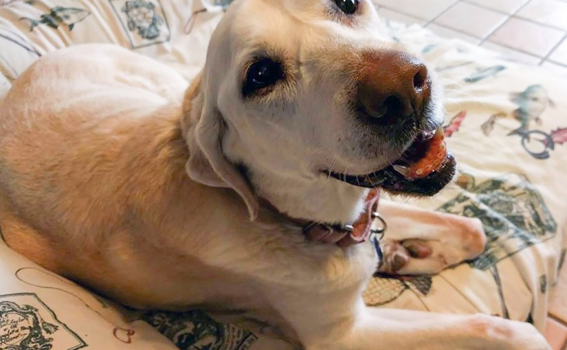 The Divine Miss&nbsp;Blanche