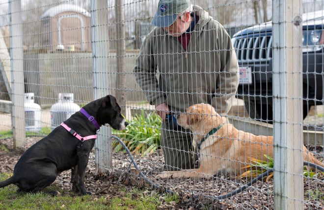 Darcy_Scrappy_DSC_1609