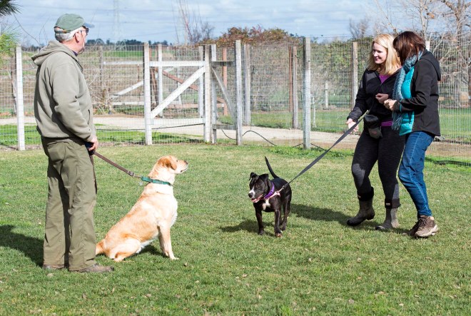 Darcy_Scrappy_DSC_1639