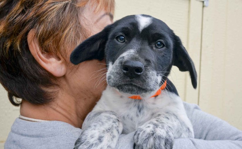 What the Easter Bunny&nbsp;Delivered