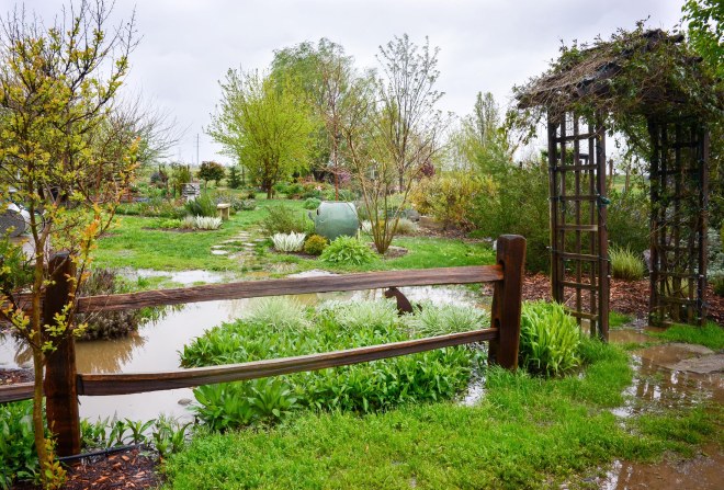 Garden_Rain_DSC_0038