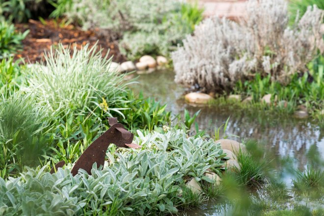 Garden_Rain_DSC_3380