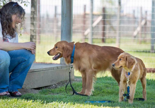 Cooper_Desta_DSC_4308