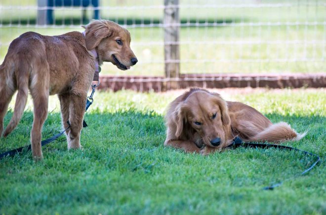 Cooper_Desta_DSC_4315