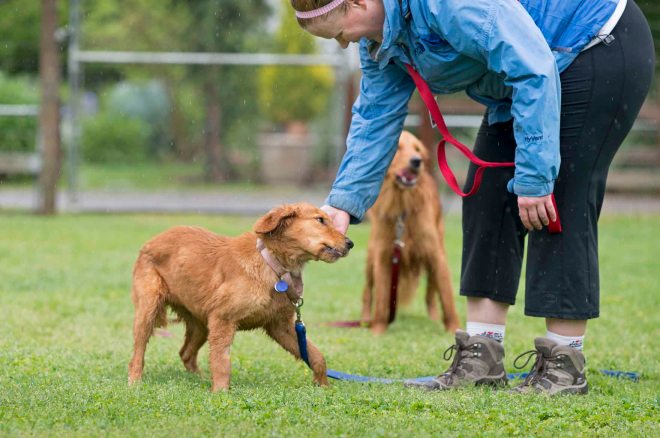 Desta_Cooper_DSC_4621