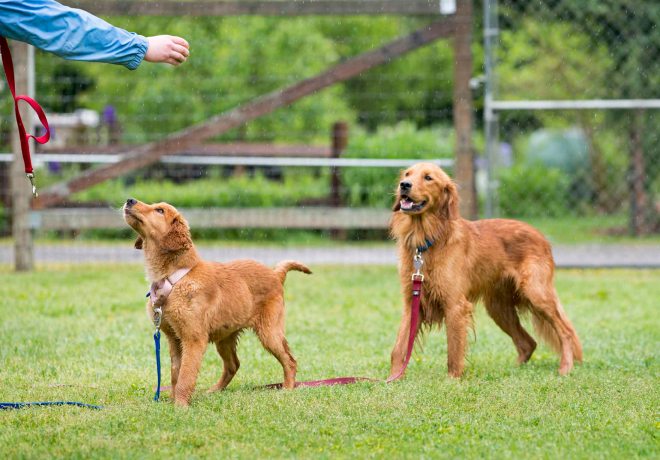 Desta_Cooper_DSC_4639