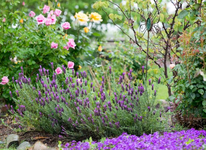 Garden_Rain_DSC_4588