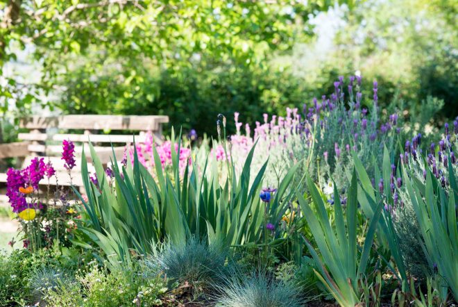 Garden_Spring_DSC_4178