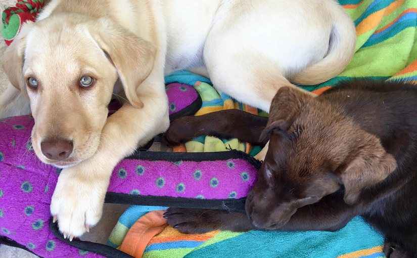 A Tale of Faith and&nbsp;Hope