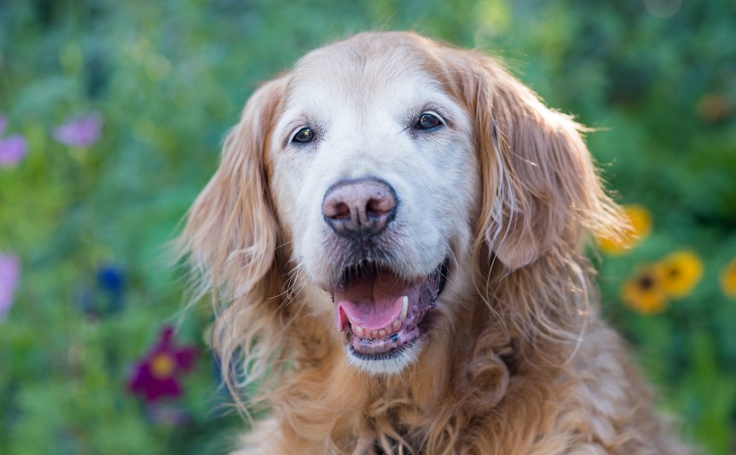 Wordless Wednesday: When She&nbsp;Smiles