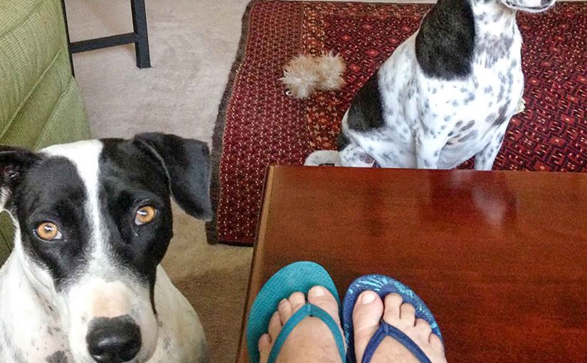 The Long Way&nbsp;Home