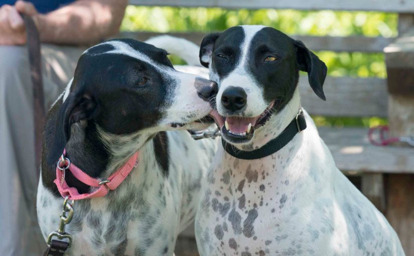 Wordless Wednesday: Lucy Loves&nbsp;Lilly