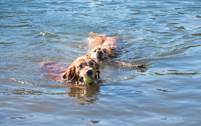 Jackson_Riba_DSC_7250