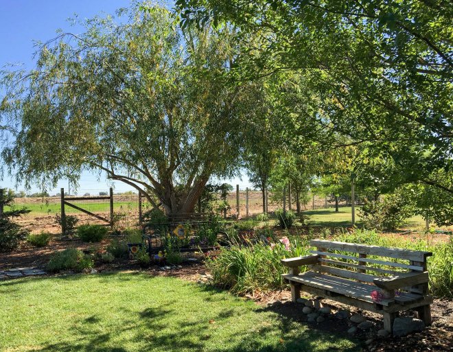 Willow After_IMG_0402