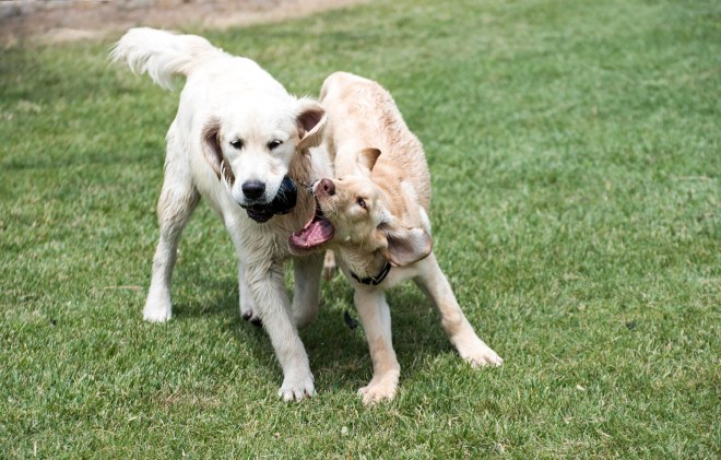 Faith_Daphne_DSC_6353