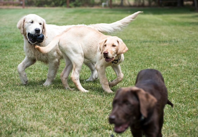 Faith_Hope_Daphne_DSC_6344