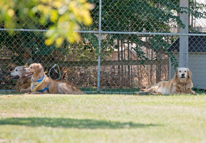 Jack_Max_Felix_DSC_0313