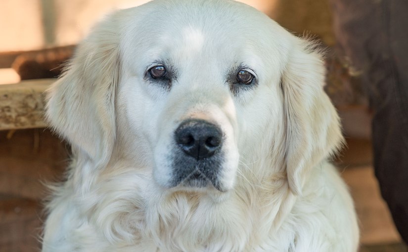 Wordless Wednesday: Madison