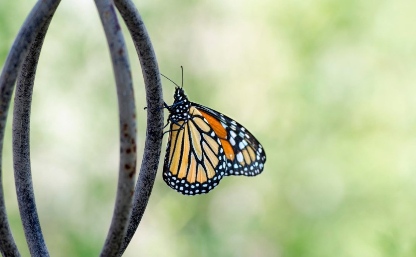 Change Comes Bearing&nbsp;Gifts