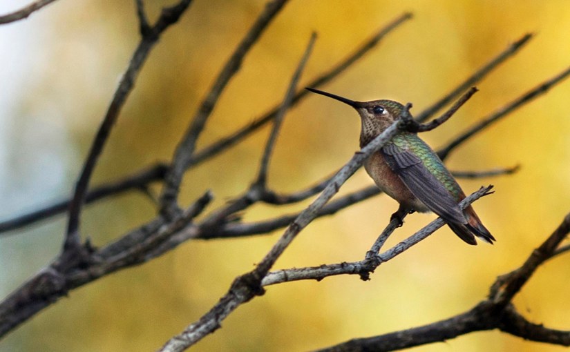 While You Were&nbsp;Away