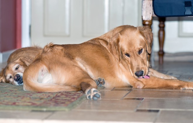 Jackson_Yona_DSC_0464