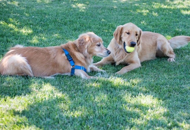 Jackson_Yona_DSC_7392