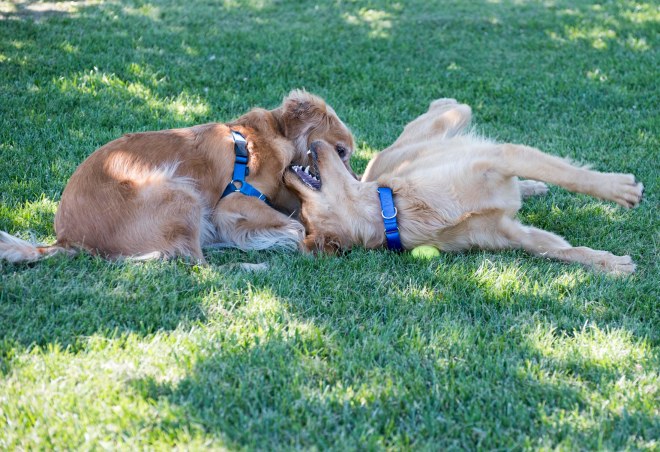 Jackson_Yona_DSC_7399