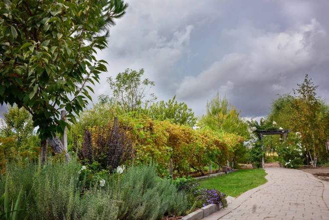 garden_fall_dsc_0460