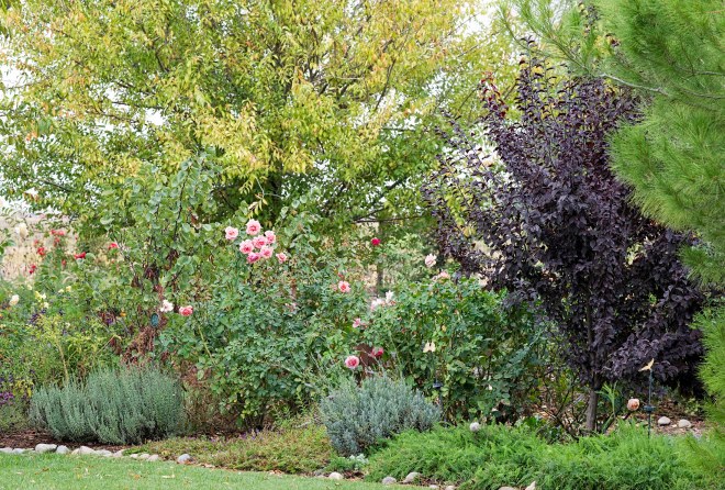 garden_fall_dsc_2820