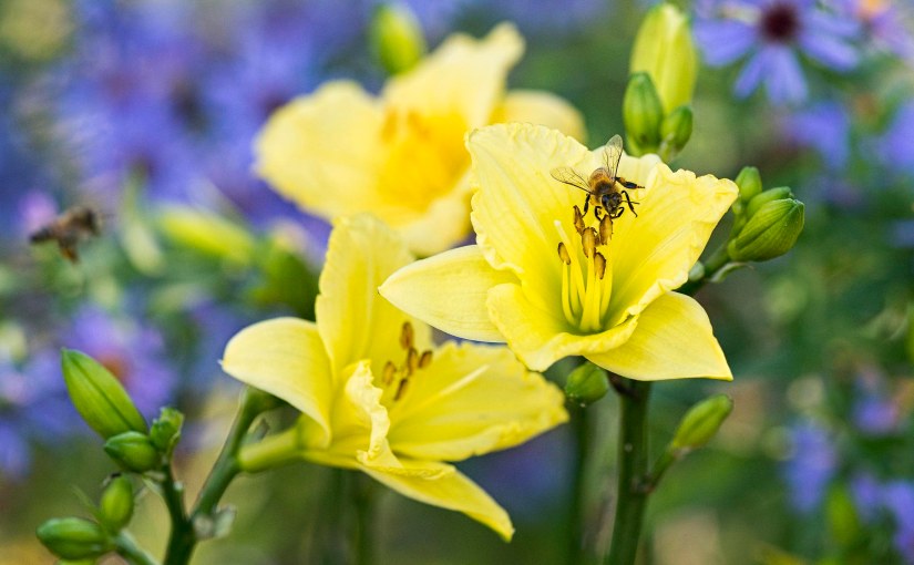 Drinking up the&nbsp;Garden