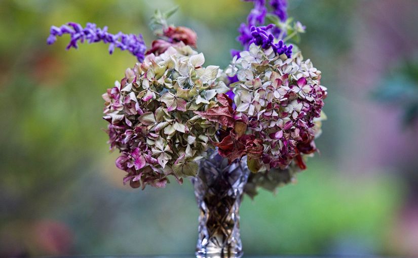 Wordless Wednesday: A Season&nbsp;Falls