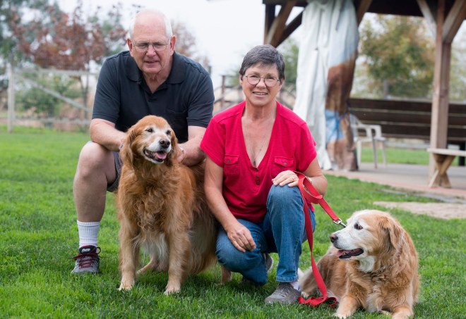 peggy_mary_ginger_dsc_3724