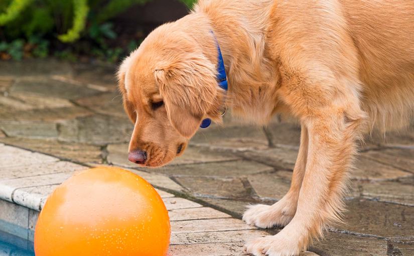 Wordless Wednesday: Wonderment