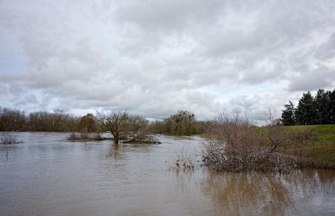 flood_river_dsc_0885