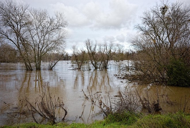 flood_river_dsc_0894