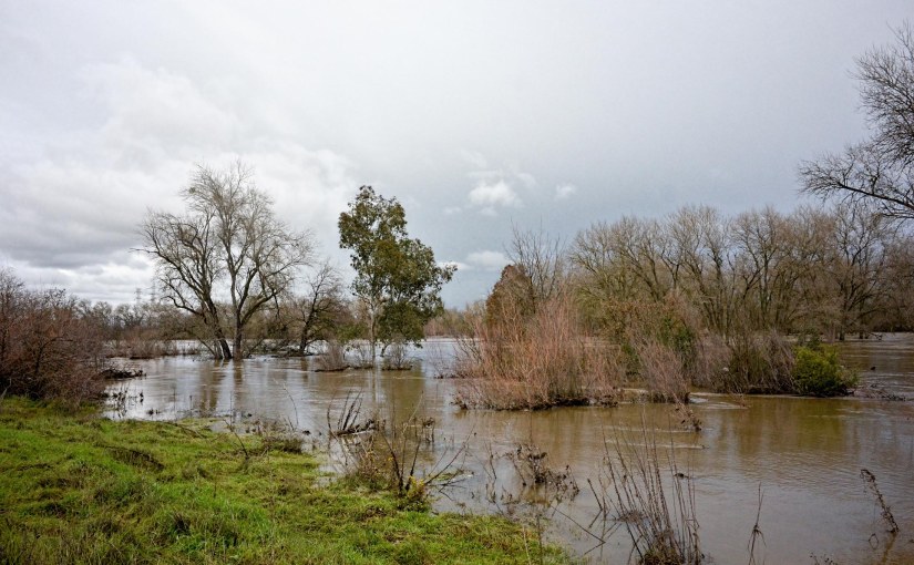 At the Water’s&nbsp;Edge