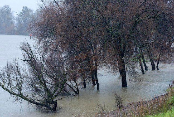 river_flood_dsc_5436