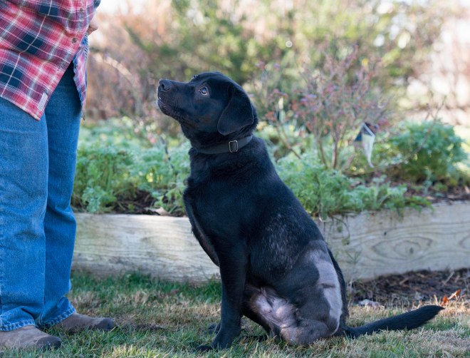 squish-buddy_dsc_5875