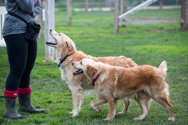 jackson_molly_dsc_6182