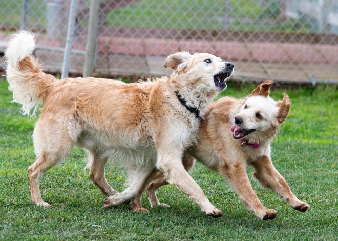 jackson_molly_dsc_6204