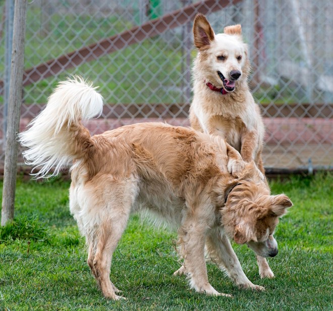 jackson_molly_dsc_6213