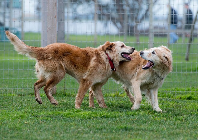 jackson_molly_dsc_6231