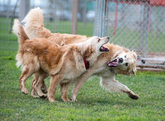 jackson_molly_dsc_6239