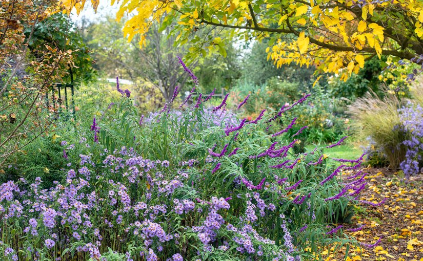 Hope Where Flowers&nbsp;Bloom