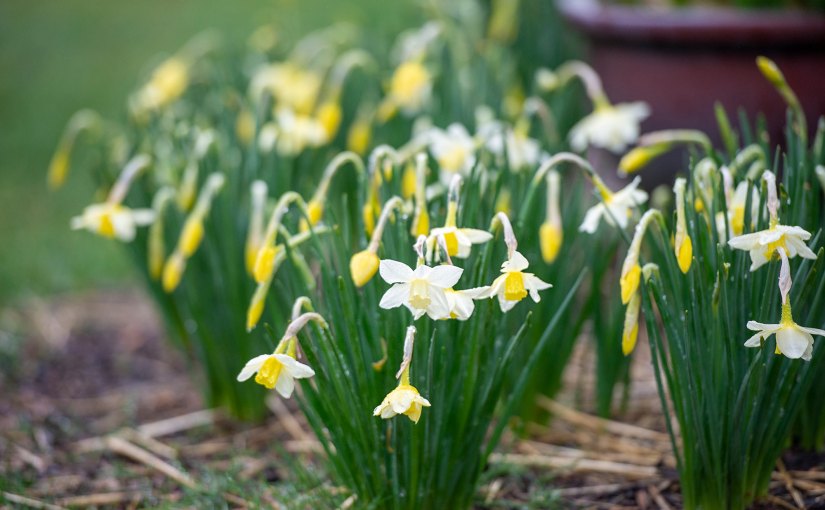 Let it Rain! Let it&nbsp;Snow!