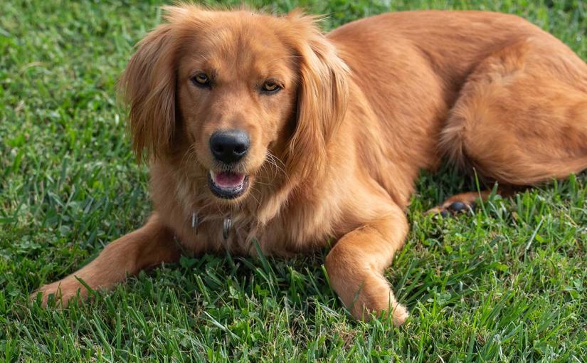 You Can Almost See&nbsp;Forever